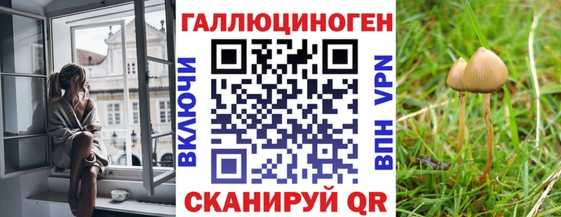 Псилоцибиновые грибы MAGIC MUSHROOMS  Купить  Кувандык 