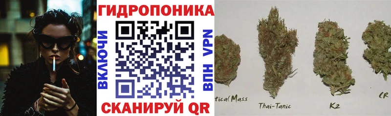 Бошки марихуана VHQ Кувандык